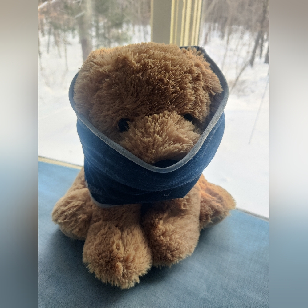 The North Face Navy Blue Men's Scarf